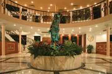 Nile Dolphin Nile Cruise — Reception